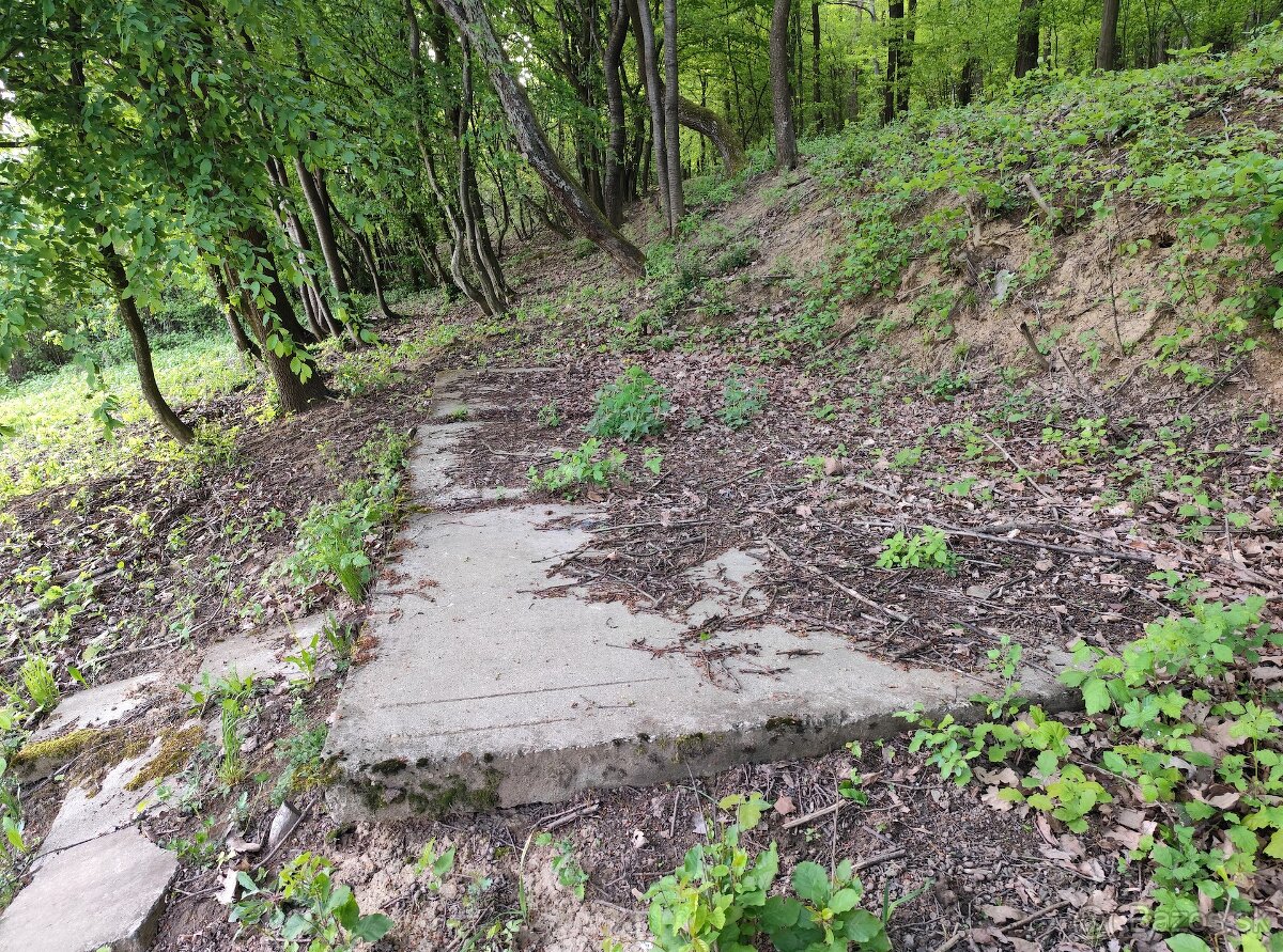 Predám pozemok v k.ú. Dolná Súča 1482m2 - 4