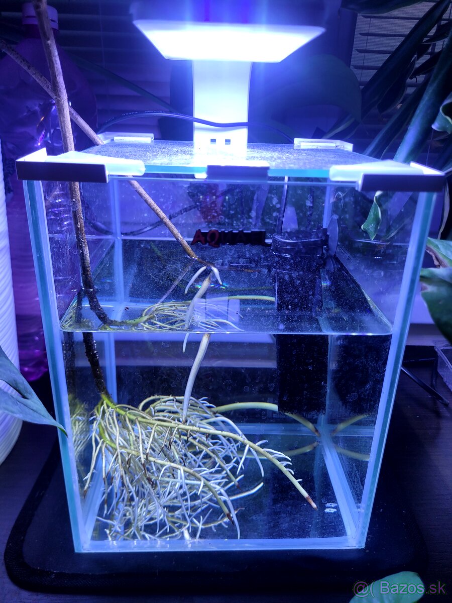 Set akvária s lampou a filtrom AQUAEL - 4