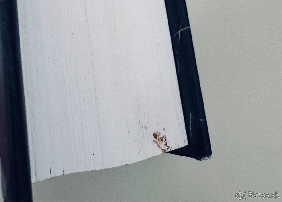 Peter Straub a Stephen King Černý dům - 4