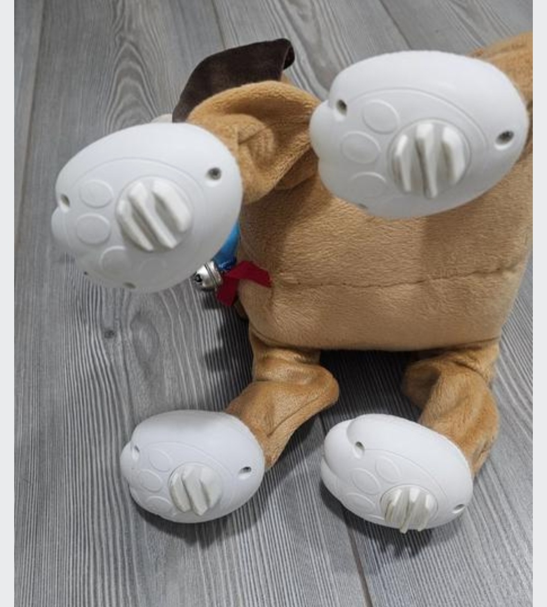 Psík Floppy - 4