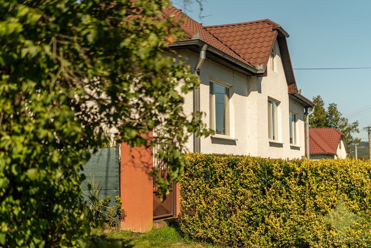 Zaujímavý, čiastočne zrekonštruovaný, rodinný dom v obci Buš - 4