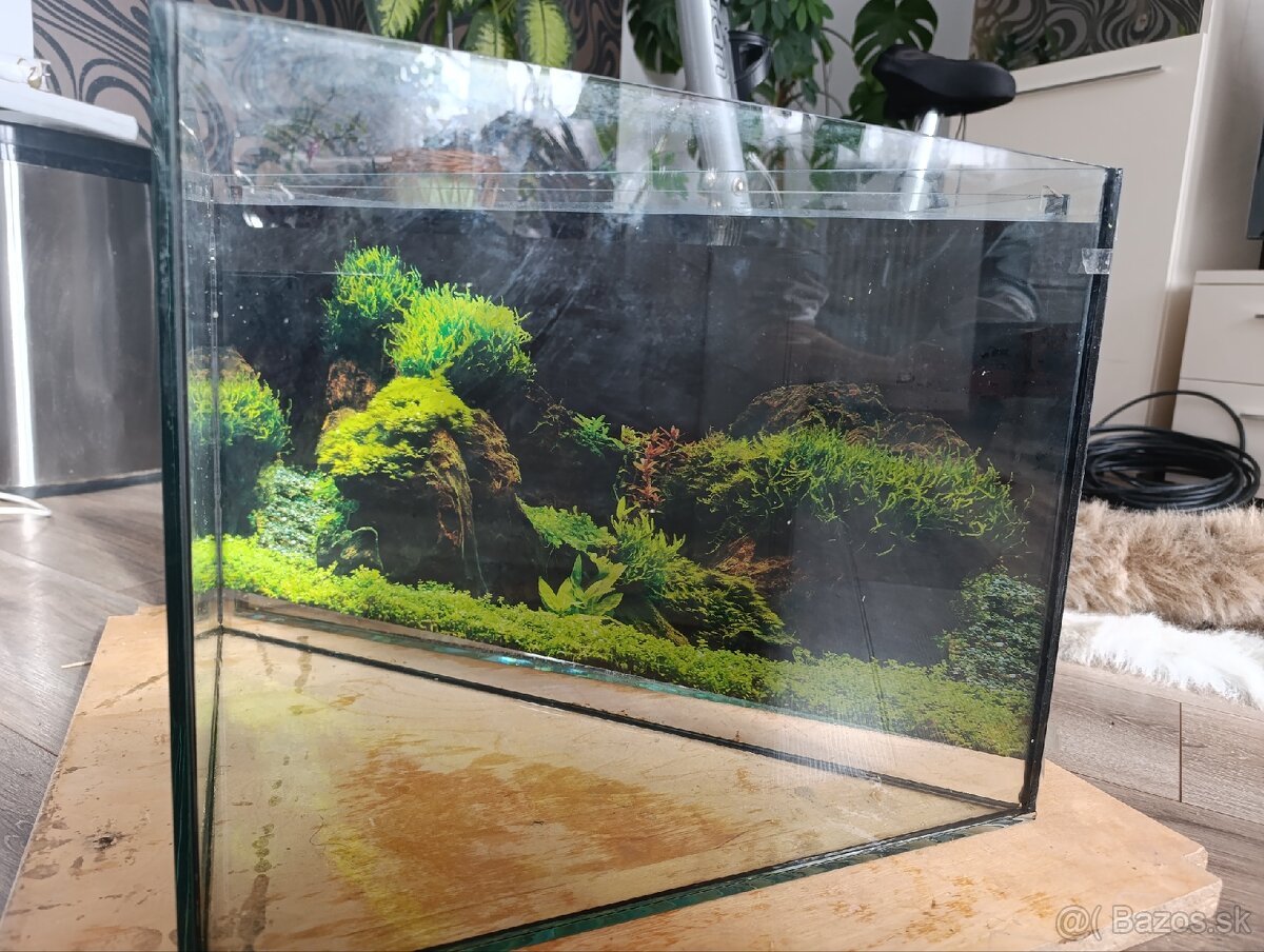 Akvária - 4