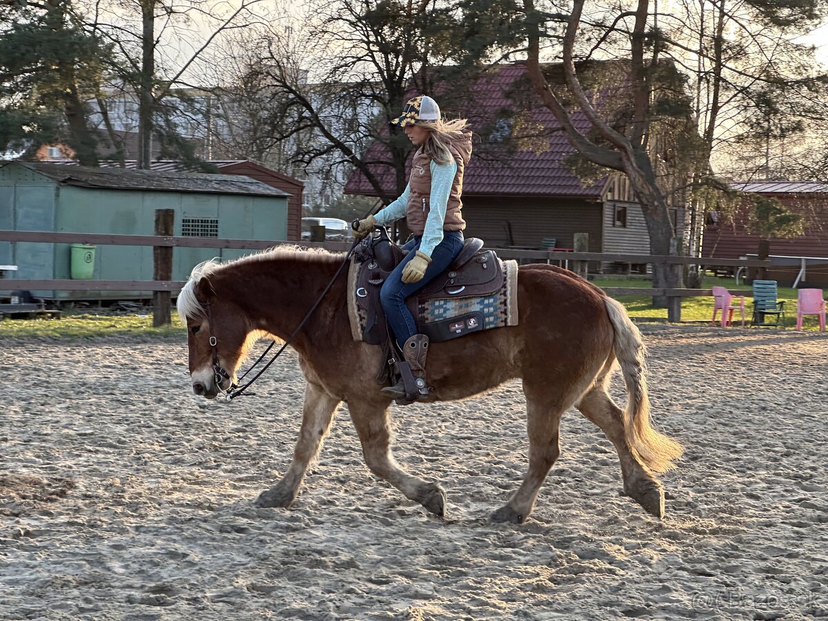 tréning koní - obsadanie - 4