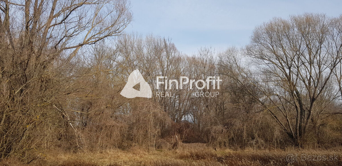 Predám stavebný pozemok Podhorany Sokolníky 5867m2. - 4