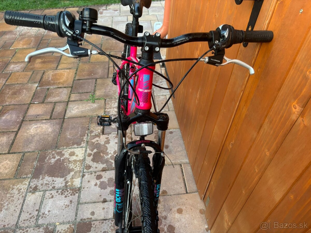 bike Genesis - 4