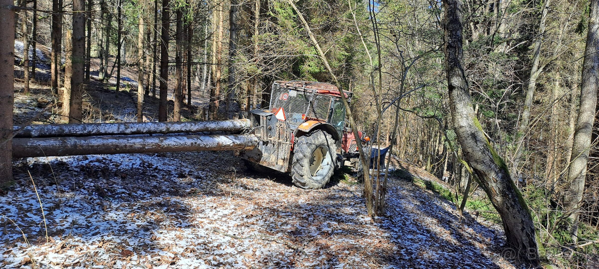 Tažba dreva - 4