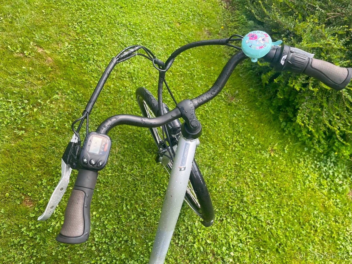Bicykel Dema - 4