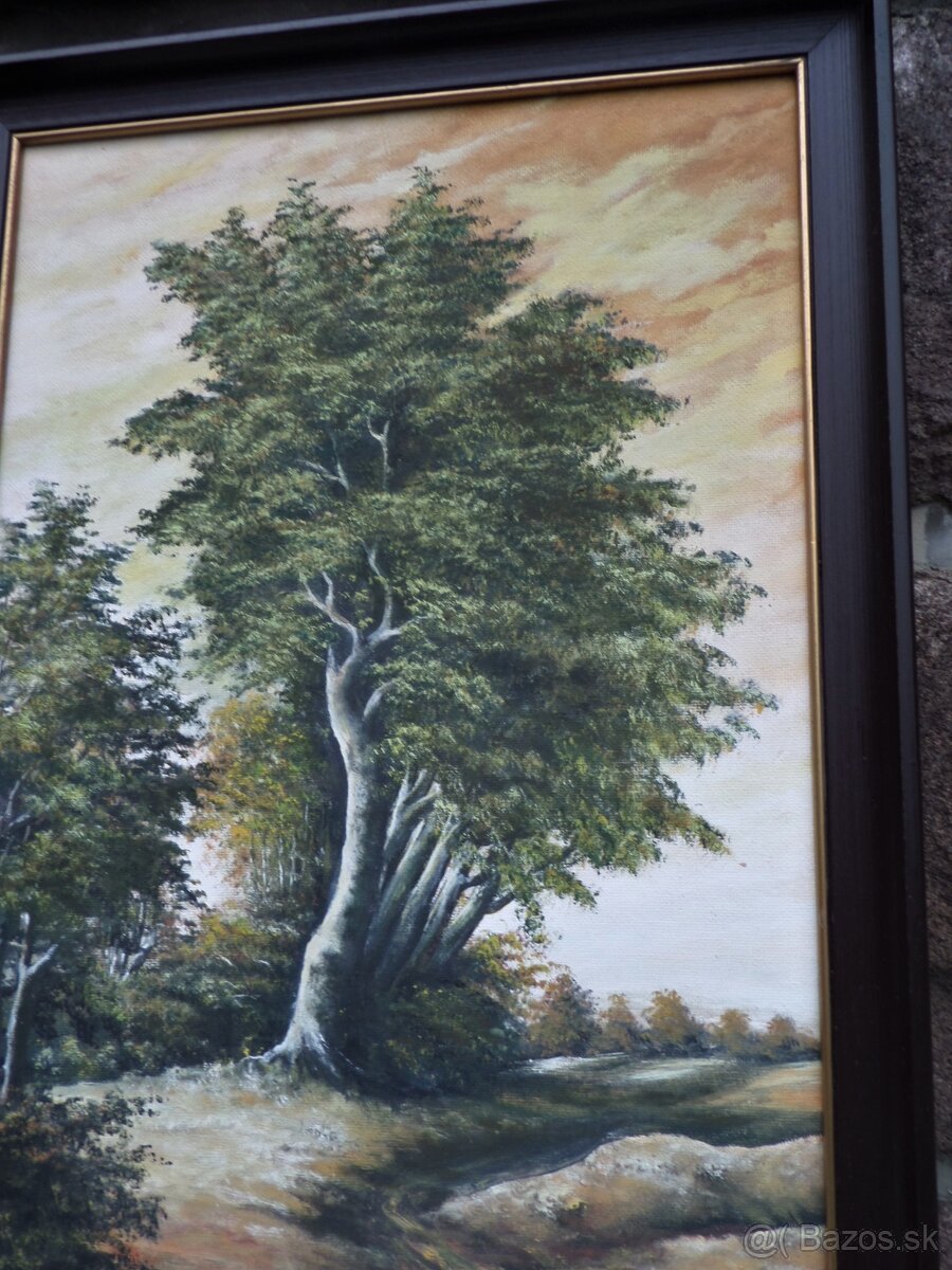 Príroda v obrazoch - 4