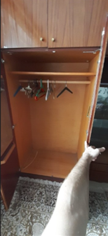 DARUJEM túto zachovalú obývaciu stenu - 4