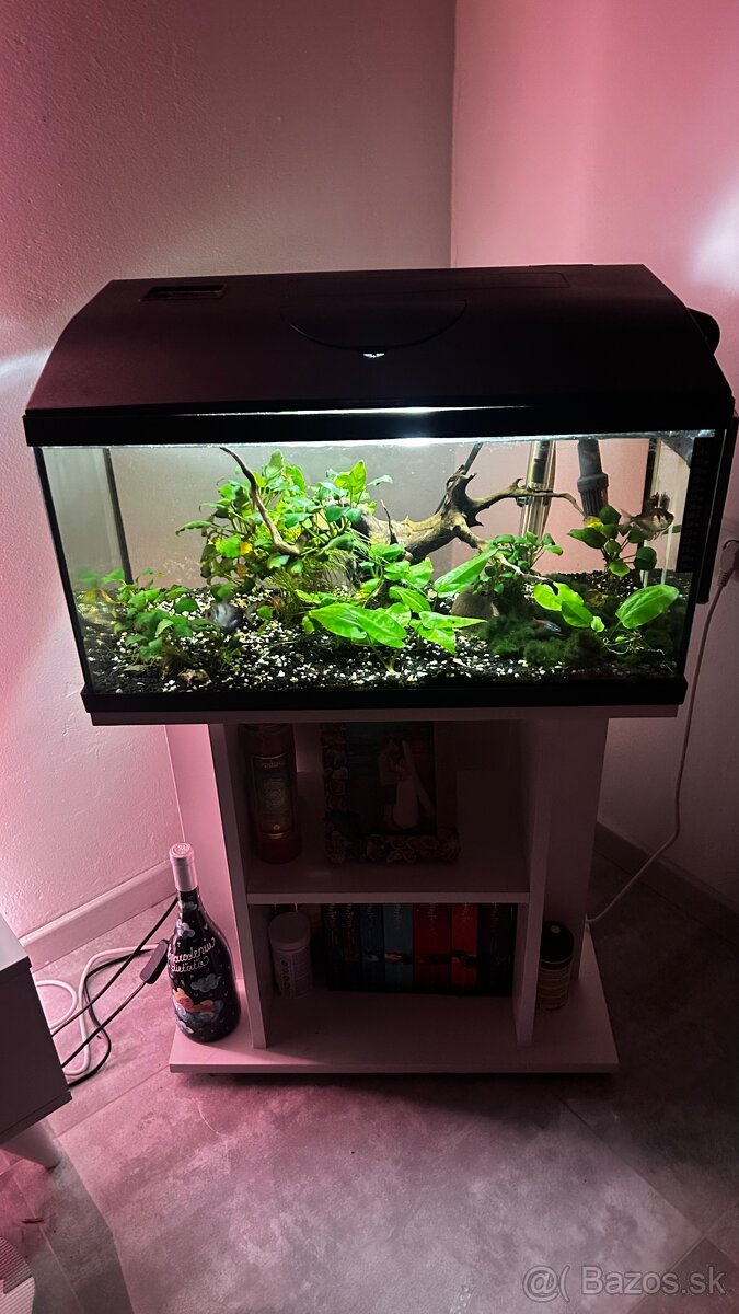 Akvárium 56l + externy filter + stojan na mieru - 4