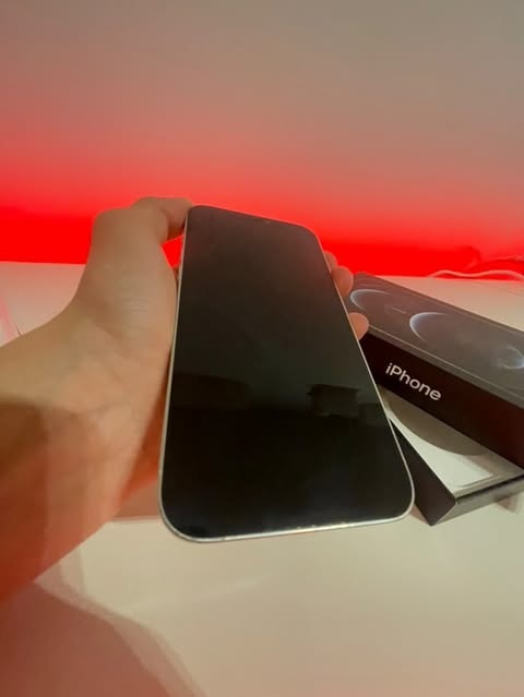 Predam Iphone 12 Pro Max 256Gb - 4