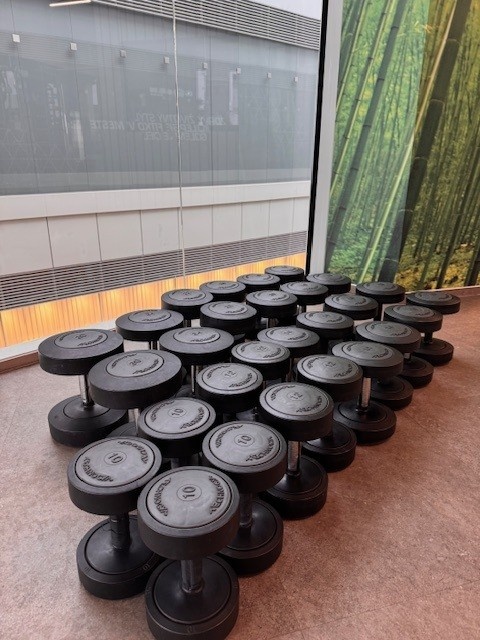 Predám polyuretánové jednoručky TECHNOGYM - 4