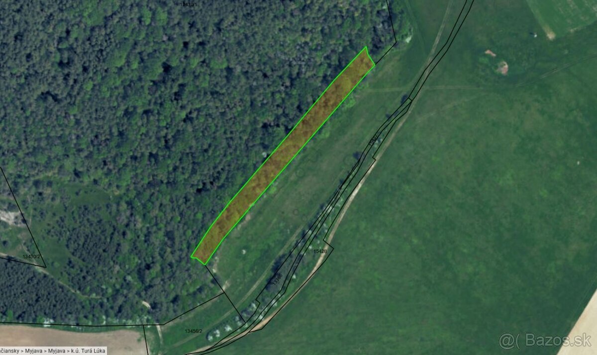 Predám lesný pozemok k.ú. Turá Lúka 4061m2 - po 0,73€/m2 - 4