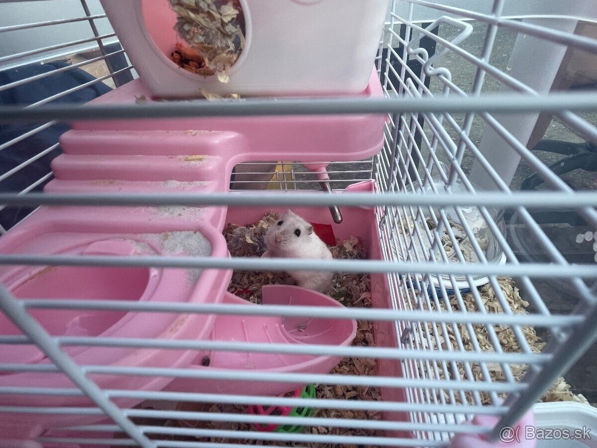 Výbava pre škrečka zelená - 4