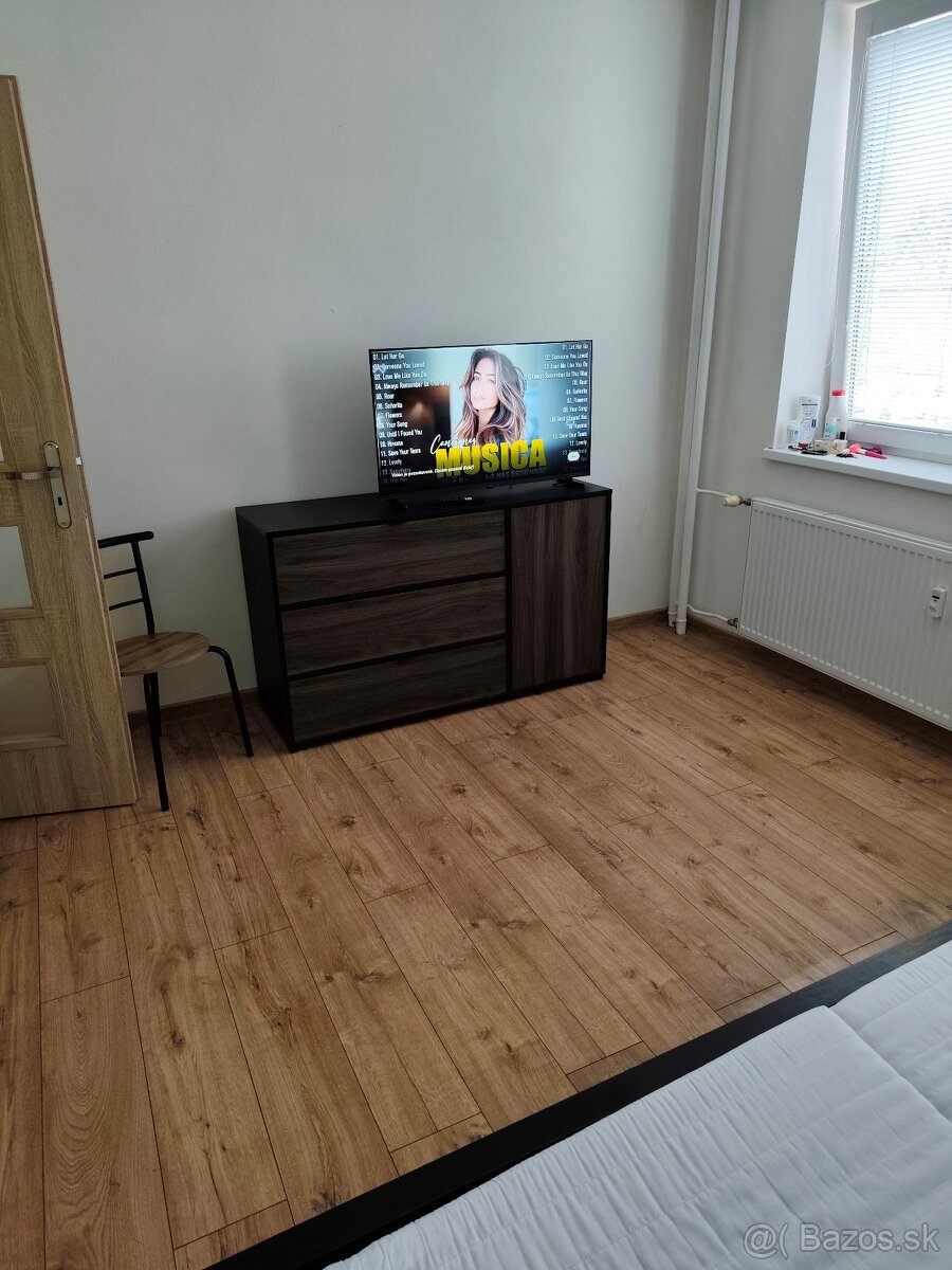 2 bedroom apartment - 4