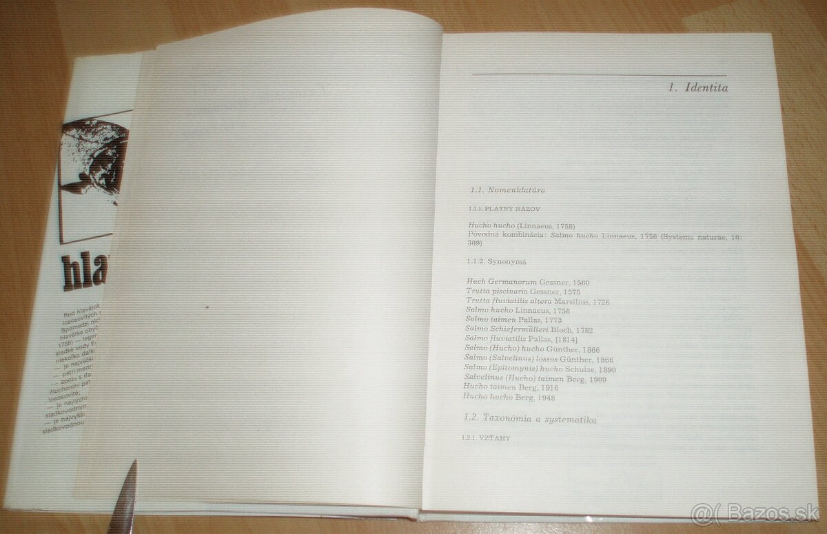 Hlavátka - 4