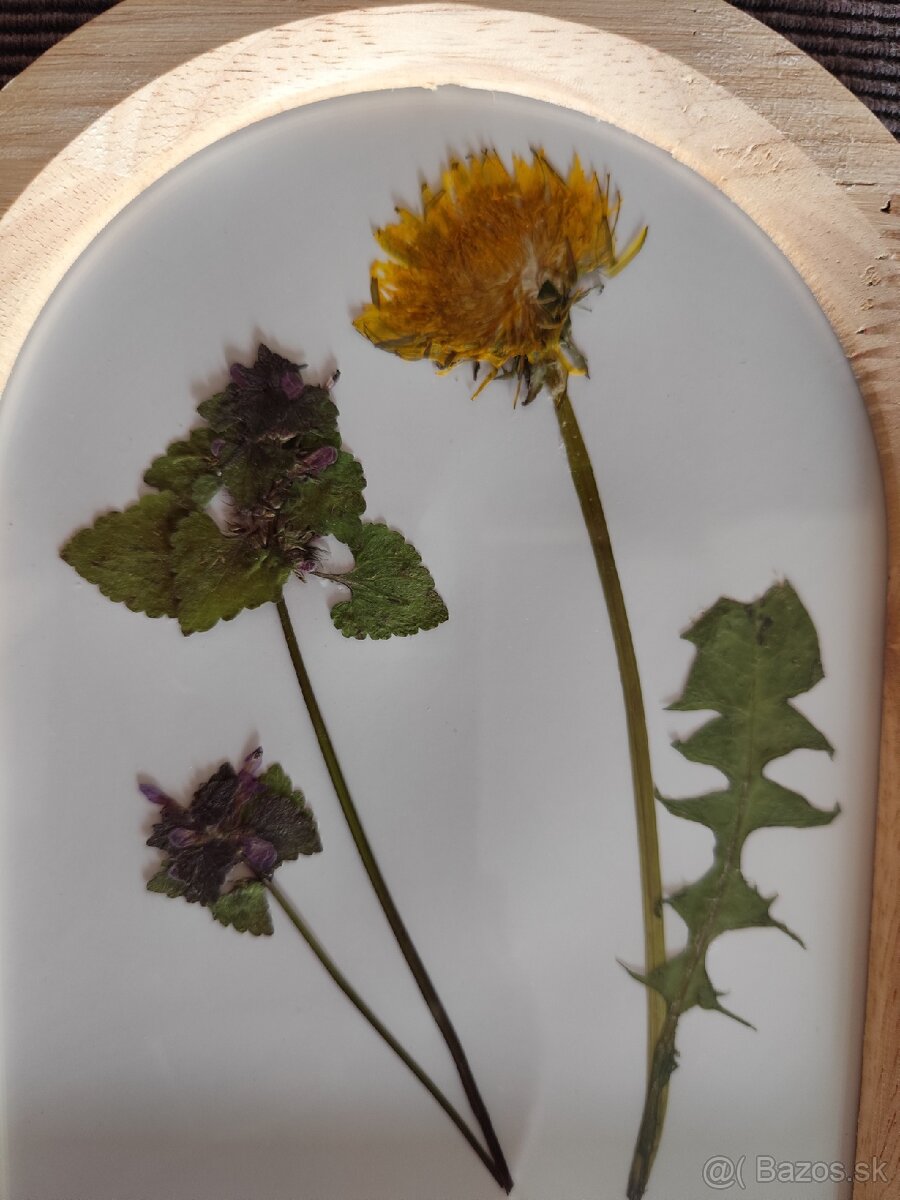 Sušené kvietky v obrazkoch - 4