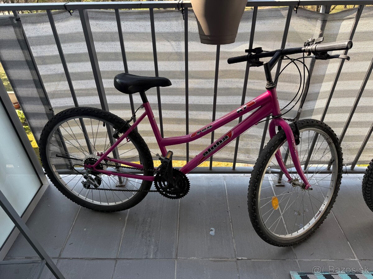 Ženský bycikel - 4