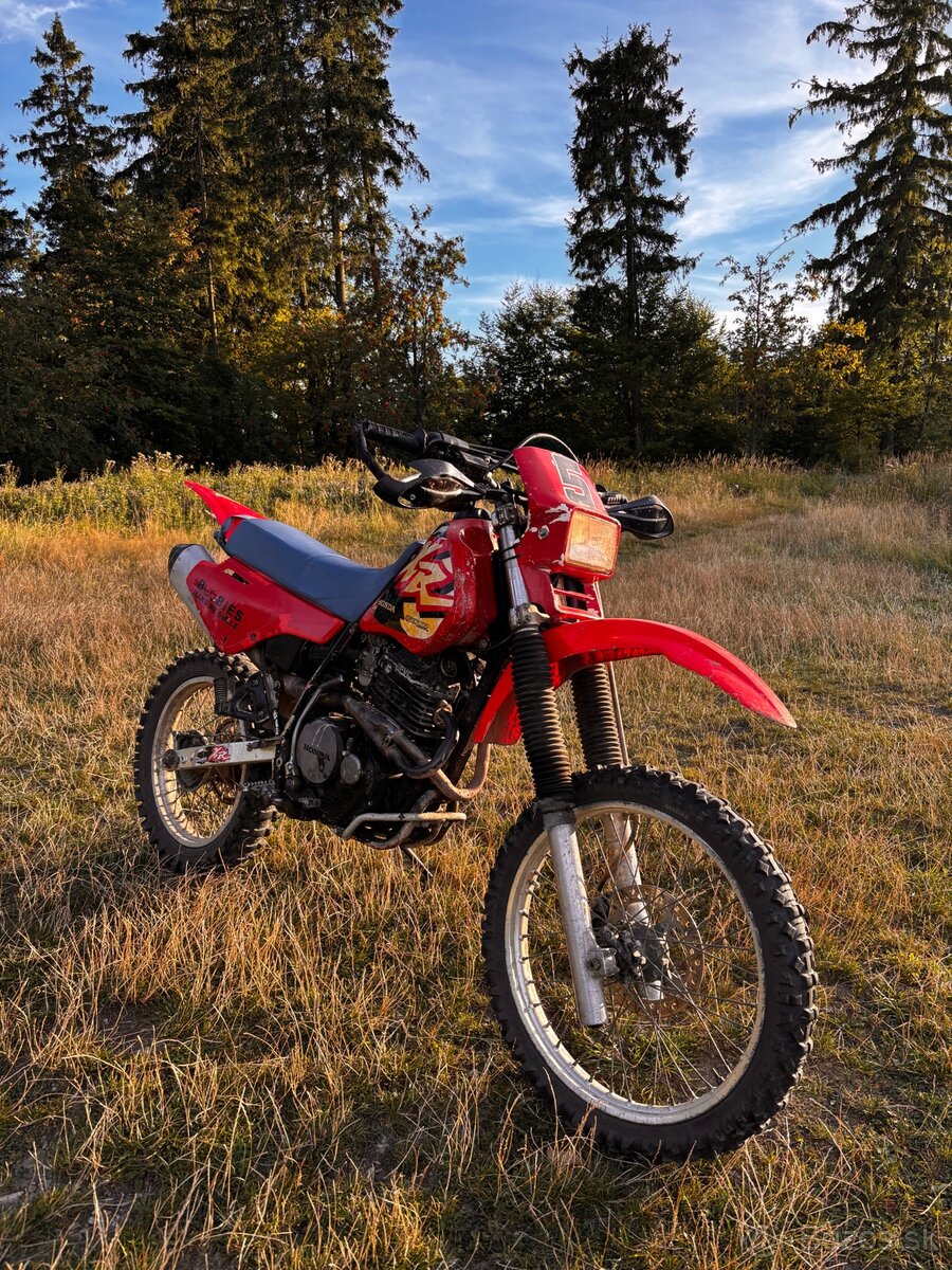 Honda - 4