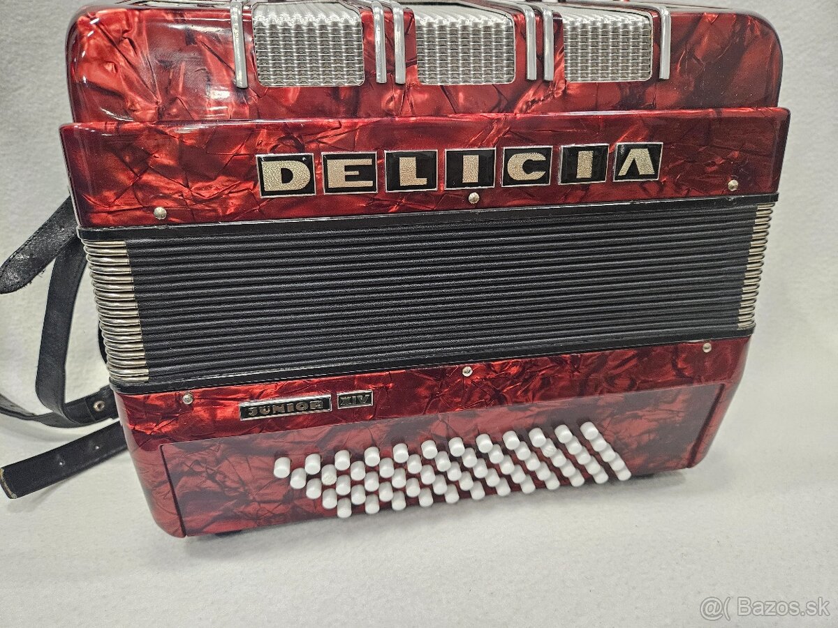 Akordeon delicia junior 60 basovy - 4