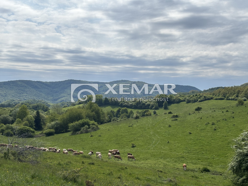 Predaj jedinečný pozemok v obci Ilija – Banská Štiavnica - 4