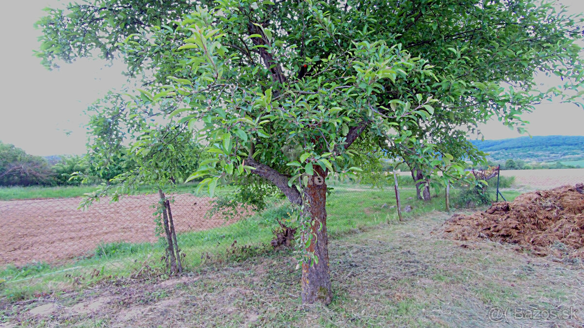 Rovinatý a slnečný pozemok v pokojnej obci Kašov - 4