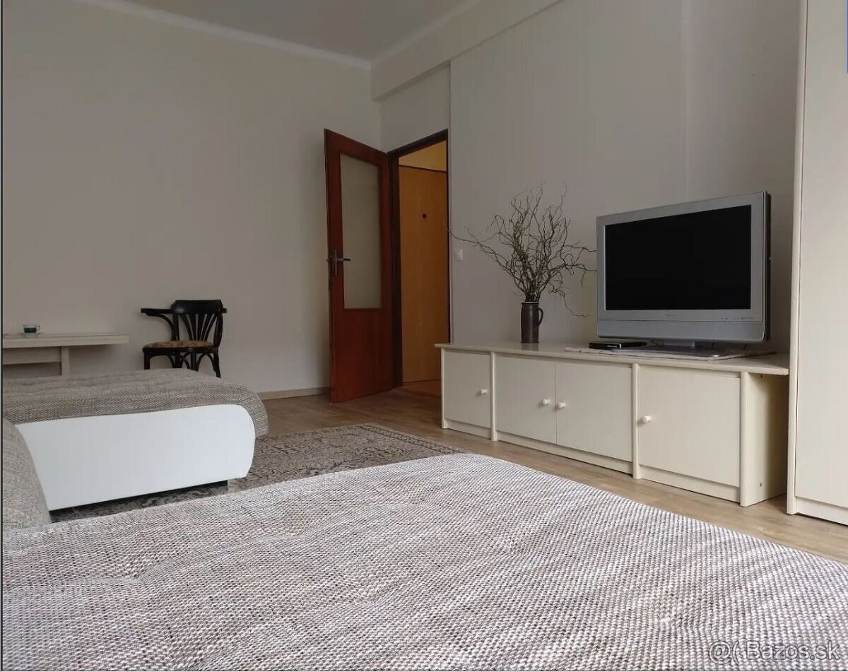 Prenajom 1 izbovy byt - 4