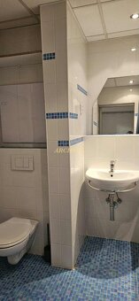 NOVÉ V PONUKE-ZREKONŠTRUOVANÝ 1 -IZBOVÝ BYT, HUMENNÉ-CENTRUM - 4