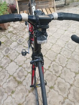 Celokarbon Ridley - 4