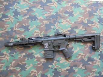 APS ASR R2 Guardian EBB AEG. - 4