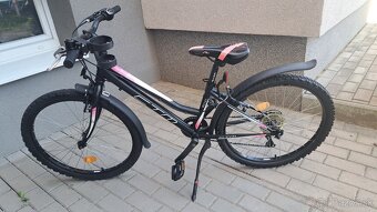 CTM MONY - 4