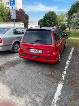 Peugeot 206 55kw - 4