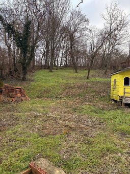 1450m2 POZEMOK TRÁVNICA - 4