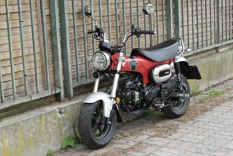 Honda Dax 125 - 4