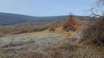 pozemok vinohrad Hrušov - 4