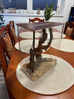 Dizajnové terárium, insektárium - 4