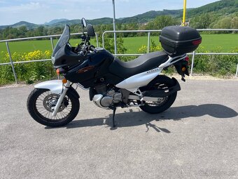 Suzuki xf 650 freewind - 4