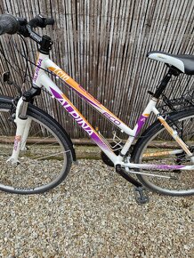 Dámsky trekový bicykel KELLYS ALPINA ECO LC10
- 4