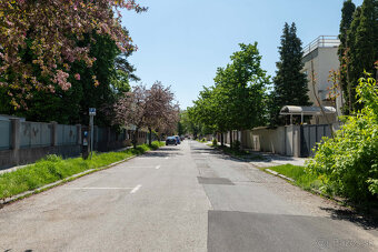 Priestor na prenájom | Rastislavova/Rázusova - 4