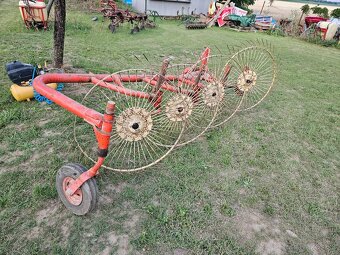 Slniečková hrabačka - 4