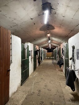 Hľadáme stajníka/stajníčku - 4