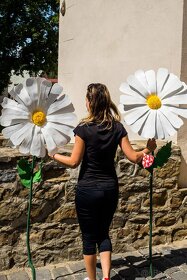 160cm margarétky - 4