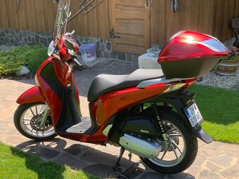 HONDA SH 125 - 4