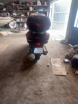 Predam MALAGUTI SPIDER MAX 500 - 4