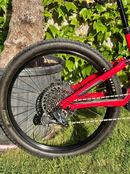 Specialized Turbo Levo Comp - 4