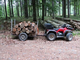 Honda Foreman TRX 450 ES - 4