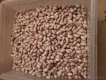 VLAŠSKÉ ORECHY 11€ KG - 4