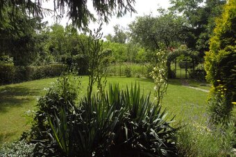 8 árový pozemok s chatou. - 4