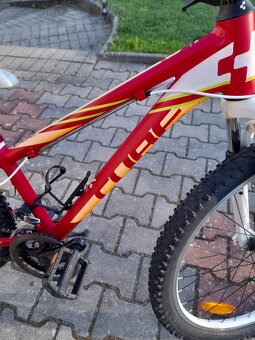 Detsky bicykel-CUBE.24 - 4