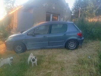 Peugeot 307 - 4